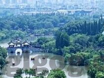 麻豆文化传媒有限公司视频-麻豆文化与传媒行业革新力量