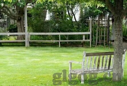 日本一区二区三区视频-日本一区二区三区视频，网络世界的文化与伦理边界